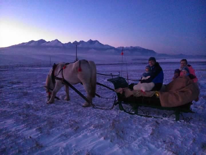 Hotel Pezion Limbovy Dvor Vrbov Esterno foto