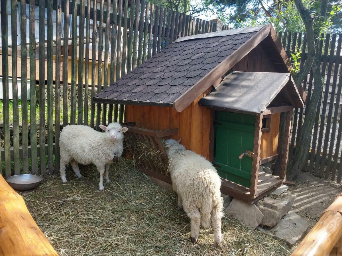 Hotel Pezion Limbovy Dvor Vrbov Esterno foto