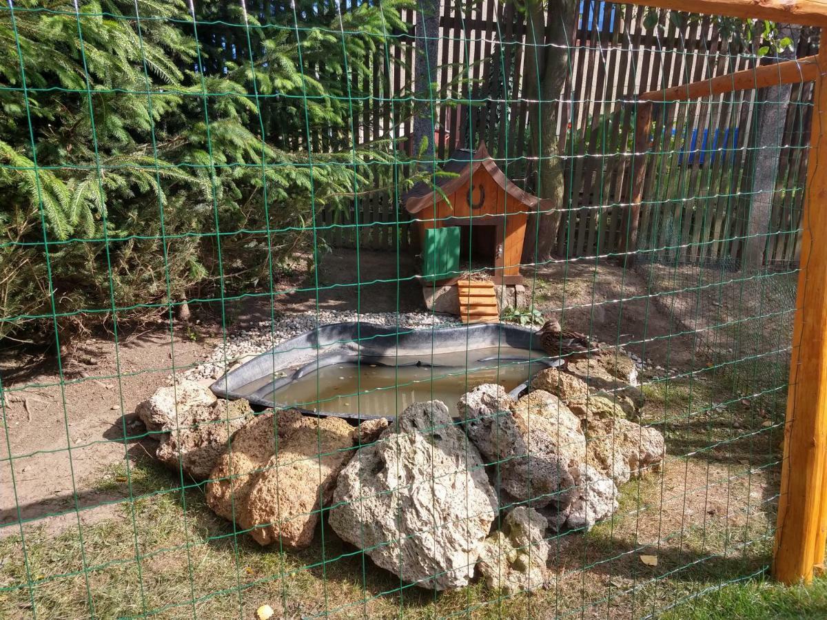 Hotel Pezion Limbovy Dvor Vrbov Esterno foto