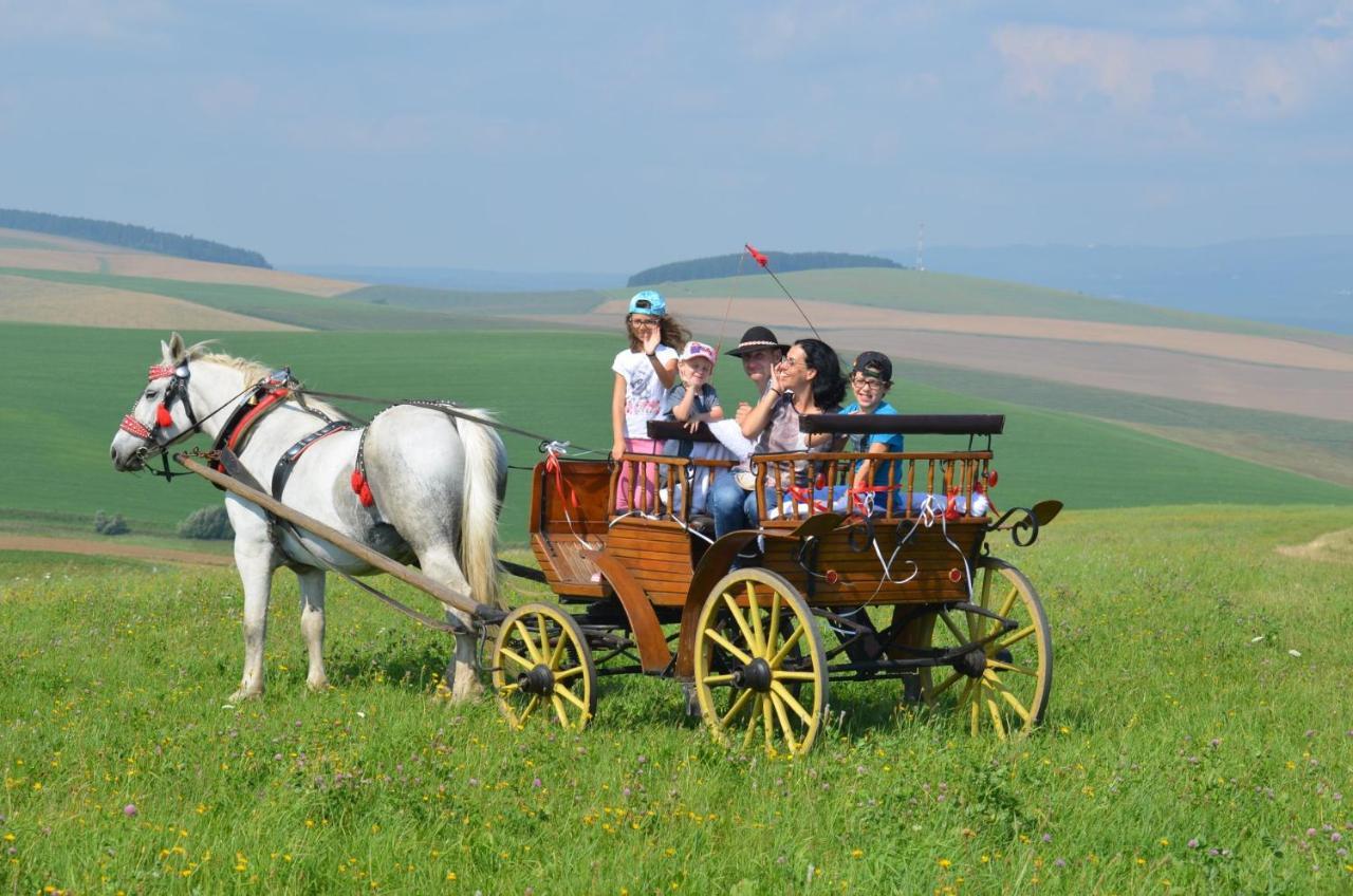 Hotel Pezion Limbovy Dvor Vrbov Esterno foto